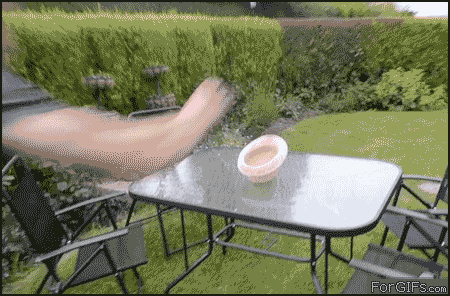 Name:  JqVXz.gif
Views: 30
Size:  498.9 KB