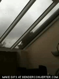 Name:  rMBMP.gif
Views: 39
Size:  1.89 MB