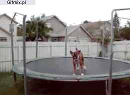 Name:  trfBb.gif
Views: 53
Size:  1.93 MB