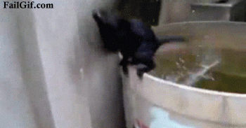Name:  N2UFy.gif
Views: 50
Size:  4.79 MB
