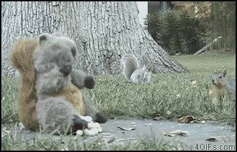 Name:  GjRD2.gif
Views: 35
Size:  1.99 MB