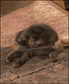 Name:  DfIOT.gif
Views: 58
Size:  1,023.6 KB