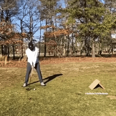 Name:  r4Z9L2M.gif
Views: 227
Size:  10.23 MB