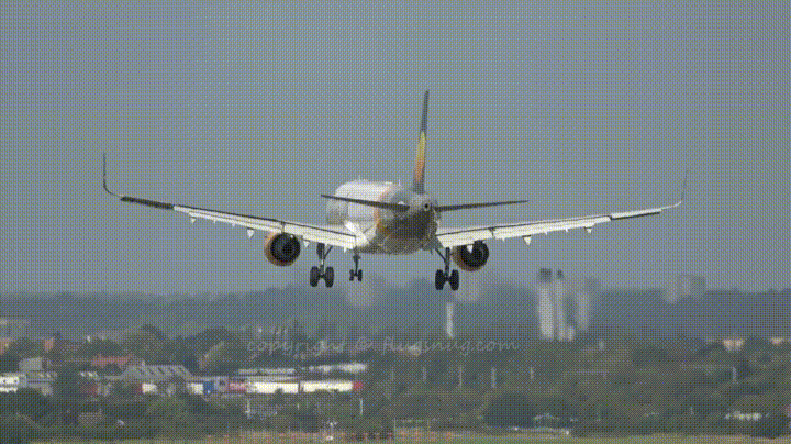 Name:  RDB6CCL.gif
Views: 41
Size:  14.56 MB