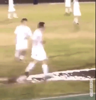 Name:  LNPTB2V.gif
Views: 32
Size:  2.38 MB