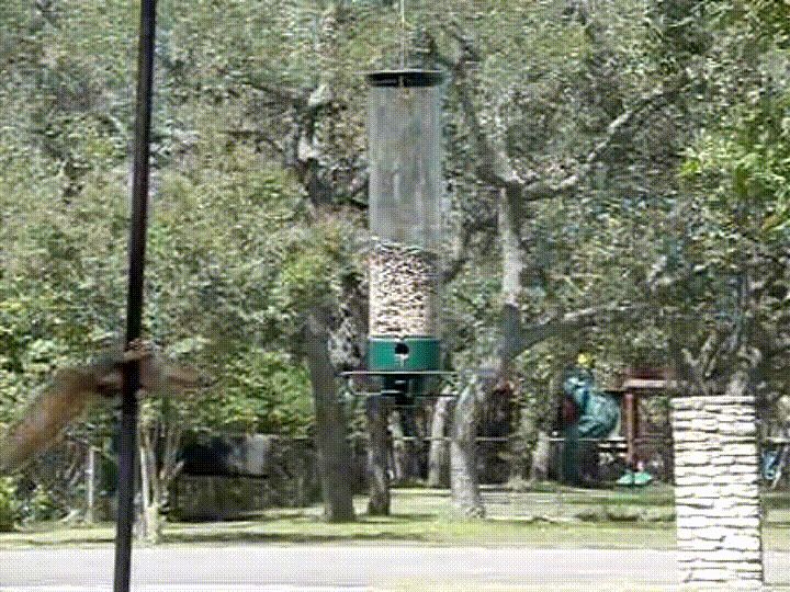 Name:  ppKLkcC.gif
Views: 29
Size:  14.80 MB