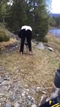 Name:  A6Wwi4b.gif
Views: 35
Size:  16.31 MB