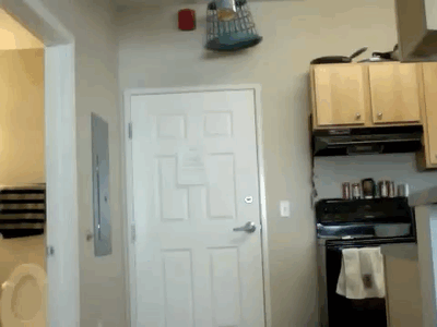 Name:  0V1atX4.gif
Views: 44
Size:  763.3 KB