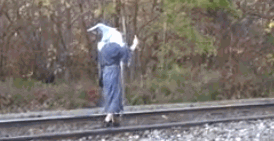 Name:  ts1MMRs.gif
Views: 64
Size:  4.75 MB