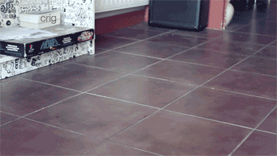 Name:  xta9k.gif
Views: 24
Size:  435.0 KB