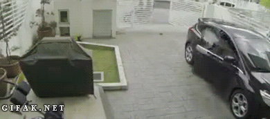 Name:  TFMQip4.gif
Views: 93
Size:  2.34 MB