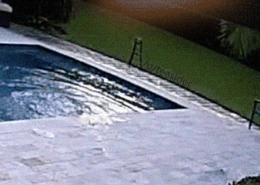 Name:  E514GW2.gif
Views: 81
Size:  11.98 MB