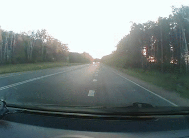 Name:  al8XH8D.gif
Views: 52
Size:  4.41 MB