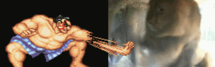 Name:  UsblmHc.gif
Views: 26
Size:  159.3 KB