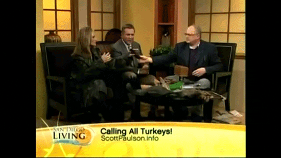 Name:  16y5P.gif
Views: 28
Size:  1.47 MB