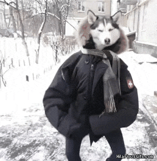 Name:  ya4Nt.gif
Views: 38
Size:  1.03 MB