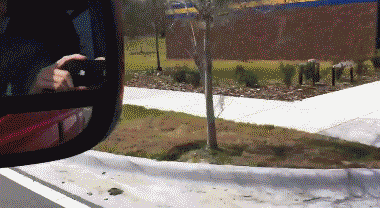 Name:  WmVjM.gif
Views: 48
Size:  1.79 MB