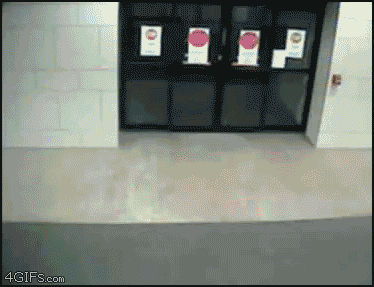 Name:  AxH7Z.gif
Views: 22
Size:  1.98 MB