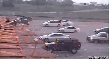 Name:  CJI7f.gif
Views: 26
Size:  484.0 KB