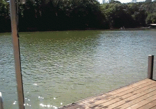 Name:  hvBGn.gif
Views: 25
Size:  921.3 KB