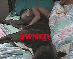owned.-266332-owned.jpg