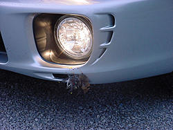 owned.-wrx-birdie-kill.jpg