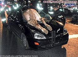 owned.-weird187.jpg