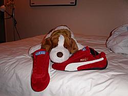 OT: Just wanted to show/tell my new driving shoes!-pict00011.jpg