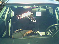 gum-image019.jpeg