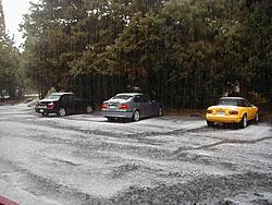 Hail pics-2.jpg