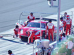 Jgtc Phags-dsc04270.jpg