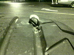 WTF is in my tire??-tire1.jpeg