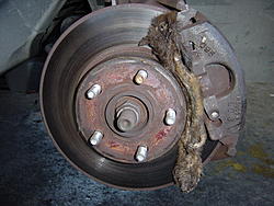 Has this ever happened to you?-dsc01156.jpg