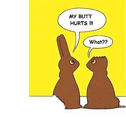 Happy Easter!(some funay!)-easterbunnies.jpg