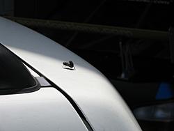 Its Spring!!!-img_1087.jpg