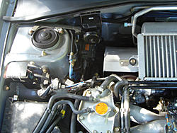 Gruppe-S Downpipe heat shield-shield2.jpg