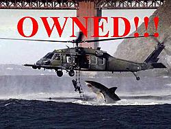 OWned-shark-ownz.jpg