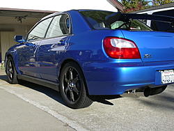 I dunno...-rexneffects-004.jpg