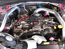 Fresh pics of the scooby-dsc00350.jpg
