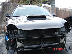 Fresh pics of the scooby-dsc00492.jpg