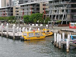 My Australian Sightings...-koala-073.jpg