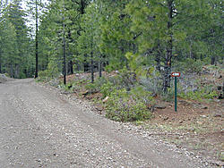 The Counting Thread-15.jpg