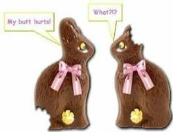 Post your hilarious photos...-butt-hurt-bunny.bmp
