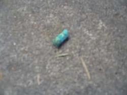 Rodent problem resolved-img_0006.jpg