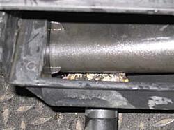 Rodent problem resolved-img_0007.jpg