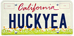 Which License Plate?-hy.jpg