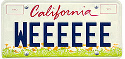 Which License Plate?-wee.jpg