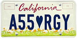 Which License Plate?-plate.jpg