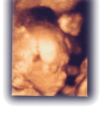 its a boy!-baby.gif