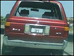 DPT is expanding!!! Go Davon!!!-dpt.jpg